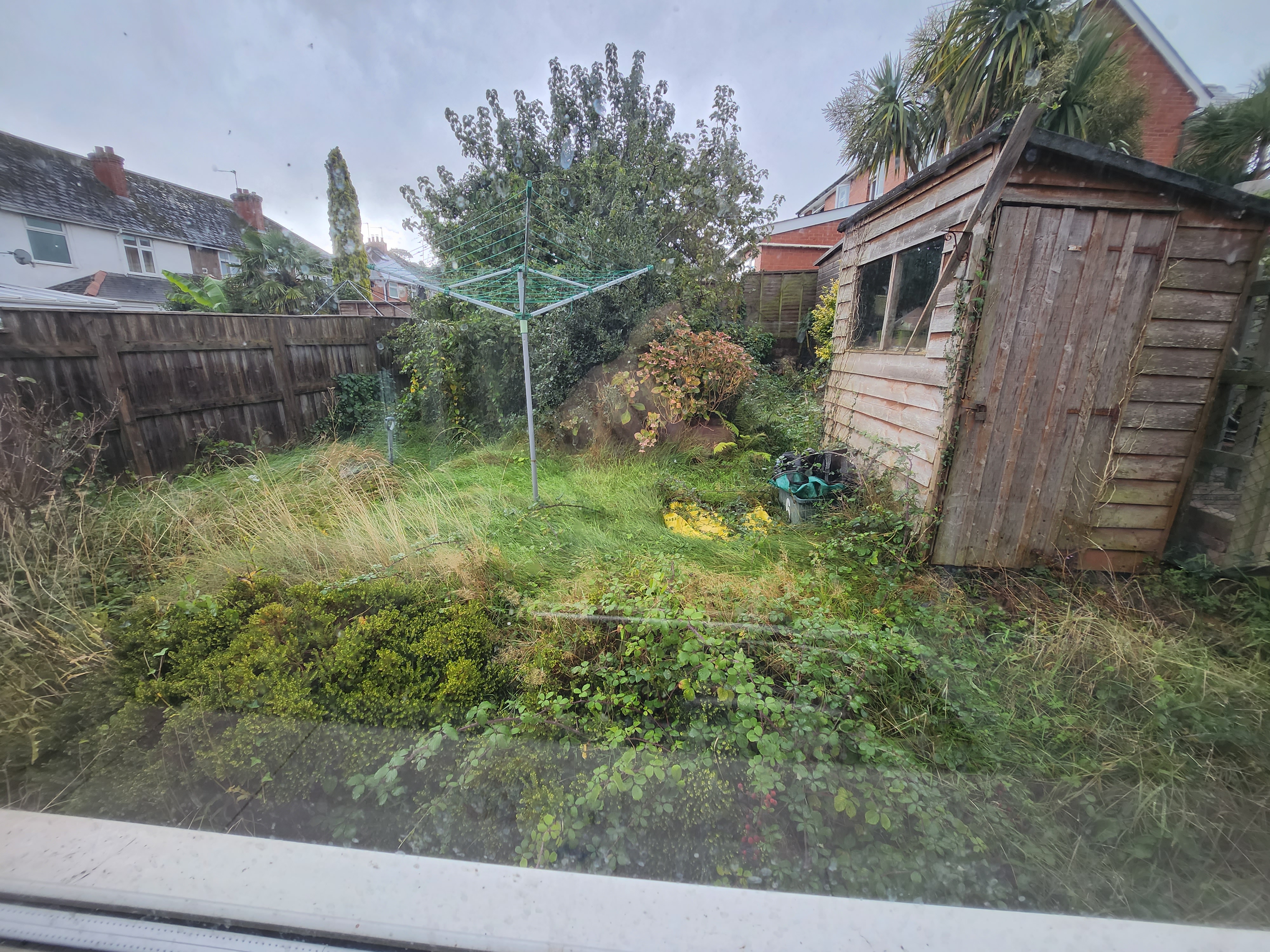Garden before view 2